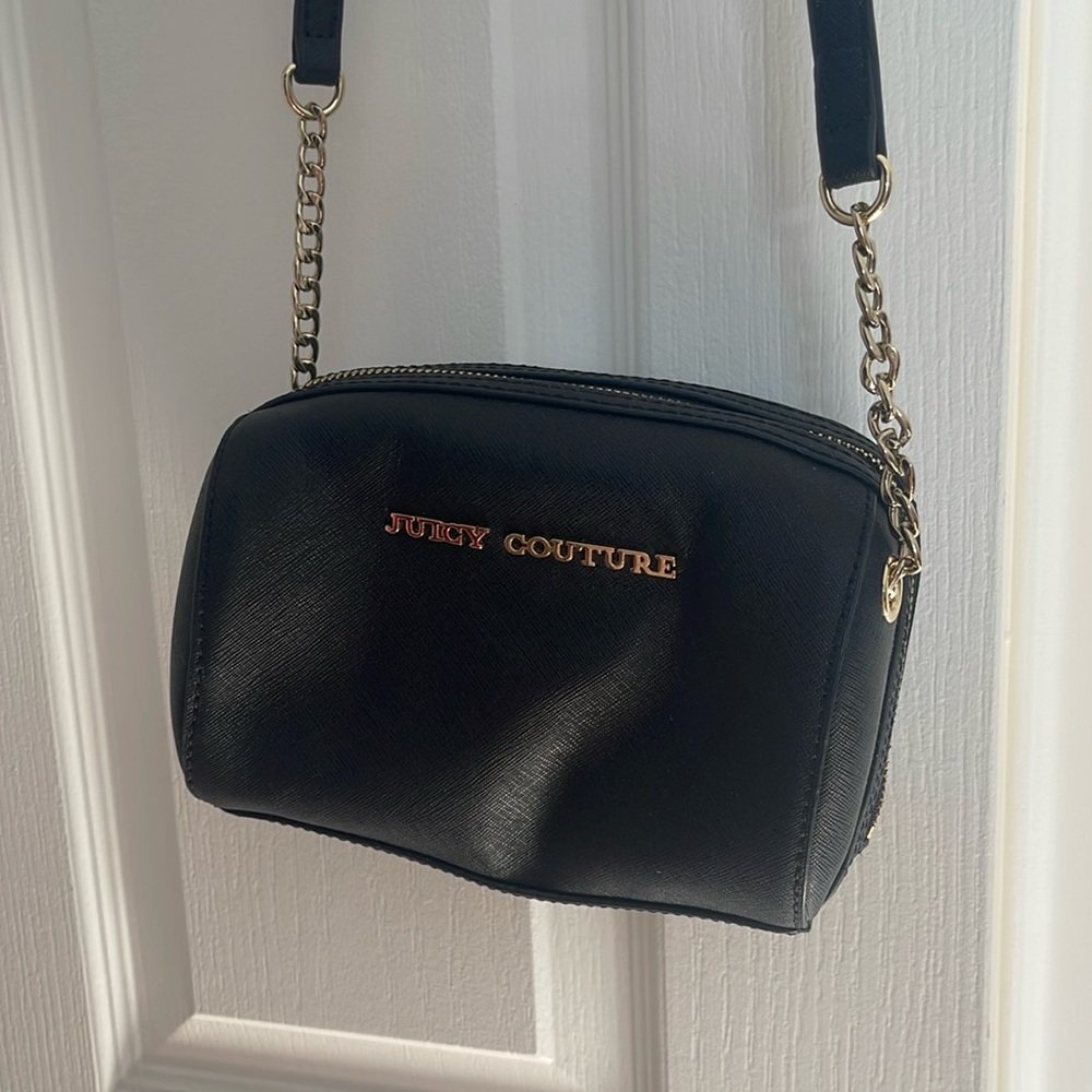 Juicy Couture Purse